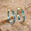 Shine hot-selling new simple earrings with diamonds, personalized temperament earrings, high-end design jewelry