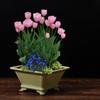 Imitation Purple Clay Flowerpots Durable Thick Bonsai Tray Pots Creative Plants Rack  Home