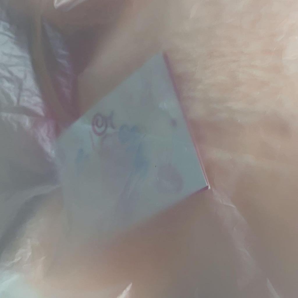 [USED] PUPPYM Teddy Bear Plush Toy SKZOO TEDDYBEAR