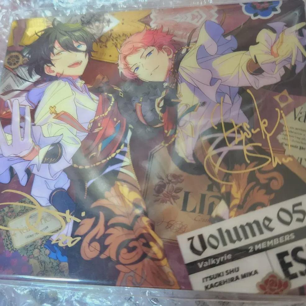 

Валькирия Анста Трип Юнгстар Акриловый блок Мика Обувь