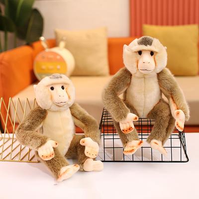 Muñecas y Peluches – Peluches