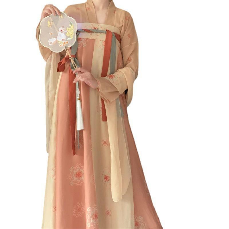 Womens Tang Dynasty Style Hanfu Dress With 3D Printed Wrap Skirt Chiffon Outfit