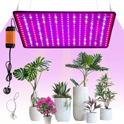 Professionelle Beleuchtung – Pflanzenlampen