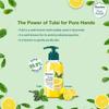 Himalaya Pure Hands Deep Cleansing Hand Wash With Tulsi And Lemon Pump 250ml Removes Grease And Odors Gentle On Skin