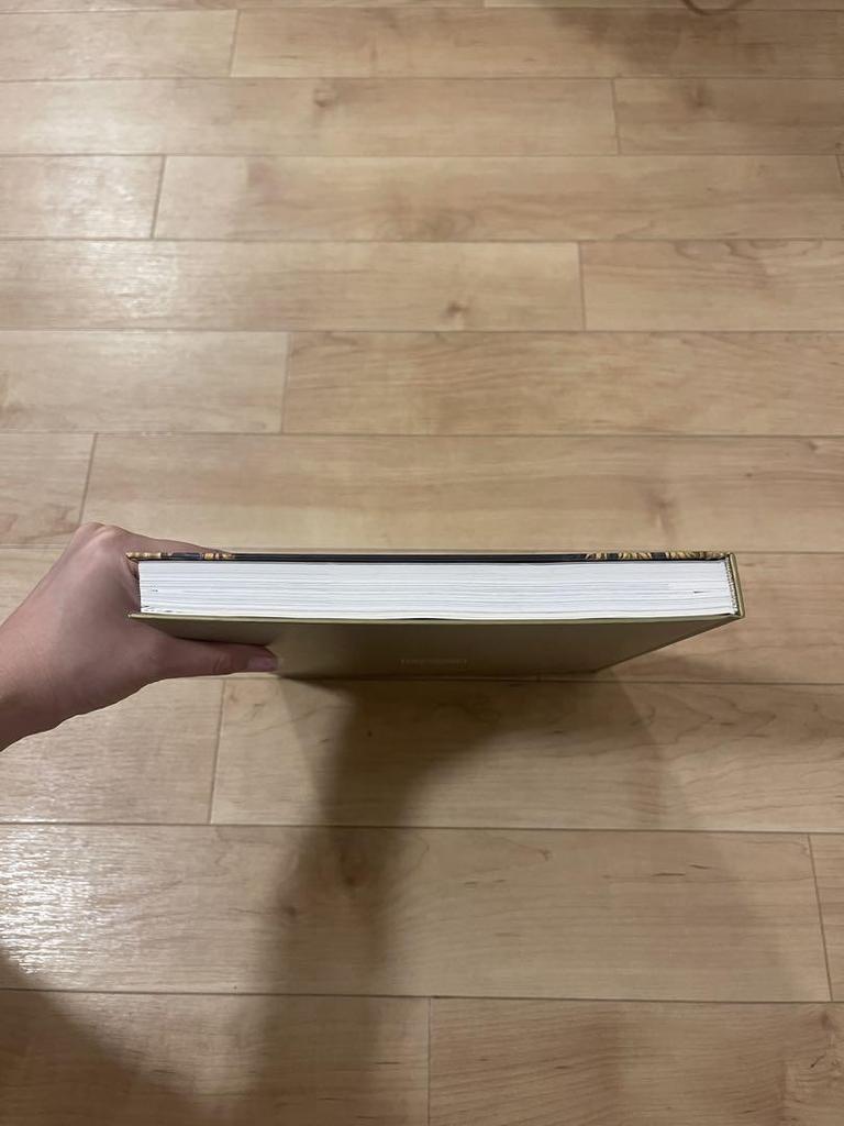 [USED] Klimt Exhibition Vienna and Japan 1900 Official Catalog