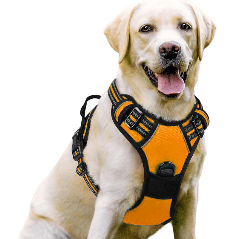 Dog Nylon Chest Harness and Leash for Large Pets