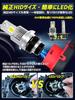 [Genuine size D2S only] Briteye D2S LED headlight, super bright, 6500K, white, vehicle inspection compliant, LED light exclusively for d2s bulbs,