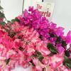 Artificial Bougainvillea Wall Hanging Flower Faux Silk Flower Bougainvillea Vine for Wedding Celling Home Hotel Floral Decor