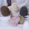 Hat Women's Winter Warm Knitted Hat Windproof Ear Protector Wool Hat