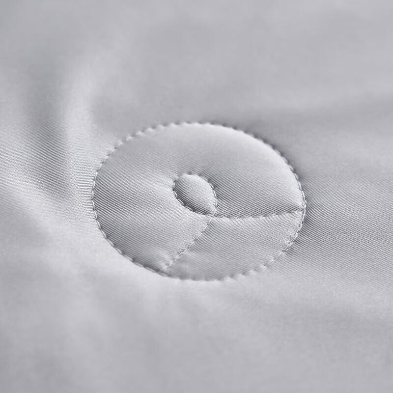 Jinsili 100 Satin Cotton Tussah Silk Quilt