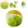 New Release Vegetable Cabbage Squeeze Toy For Kids Soft And Realistic Stress Relief Toy