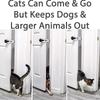 Pet Door Holder Latch Prevents Dogs From Entering Cat Supplies Adjustable Elastic Gate Lock Keep Out From Entering Accessories