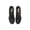 Nike Tiempo Legend 9 Elite Fg Black Metallic Gold CZ8482-007