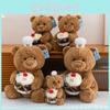 Cuter Teddy Bear Plush Toy With Cake Decoration For Kids And Teens
