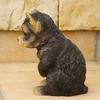 Devalier ca168 [Authentic] Yorkshire Terrier Resin Dog Figurine, Perfect Gift