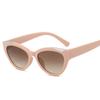 Cat Eye Shape Sunglasses Women European American Style Anti-glare Sun Glasses Women Holiday Travelling Men Sunglass