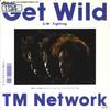7inch Record TM NETWORK  Get Wild  Fighting 075H347 EPIC 1987 Japan Japanese PopRock Used