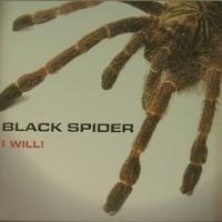 

12inch Record BLACK SPIDER - I Will! ATH051 Anthem 2002 Italy Dance & Electronica Used