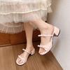 French Fairy Style Open-toed Cool Slippers Female Summer Wear with Skirt 2025 New High Heels Thick Heel Beautiful Sandals