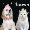 Pet Birthday Hat Bib Party Hat Cat Puppy Lace Saliva Towel Dog Bandana Scarf Dog Birthday Dress Up Photography Props Supplies