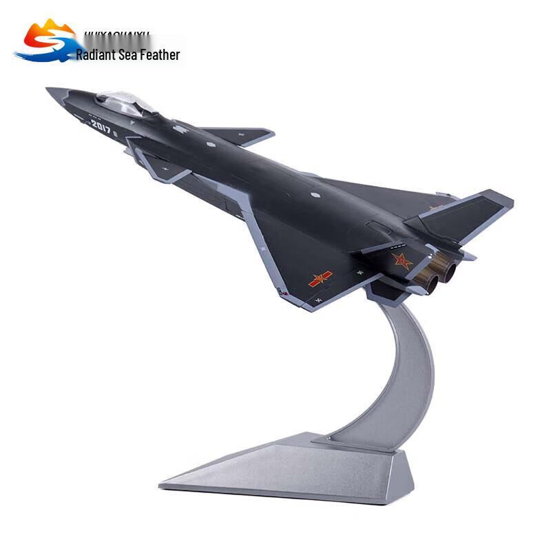 1:48 Scale J-20 Fighter Jet Model