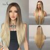 ALAN EATON Ash Grey Brown Mixed Synthetic Wigs for Women Long Straight Middle Part Hair Wigs Daily Cosplay Use Heat Resistant