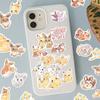 80pcs Pokemon Anime Stickers Pikachu Laptop Skateboard Scrapbook Suitcase Bike Kawaii Sticker Guitar Phone Cartoon Kid Gift Toys
