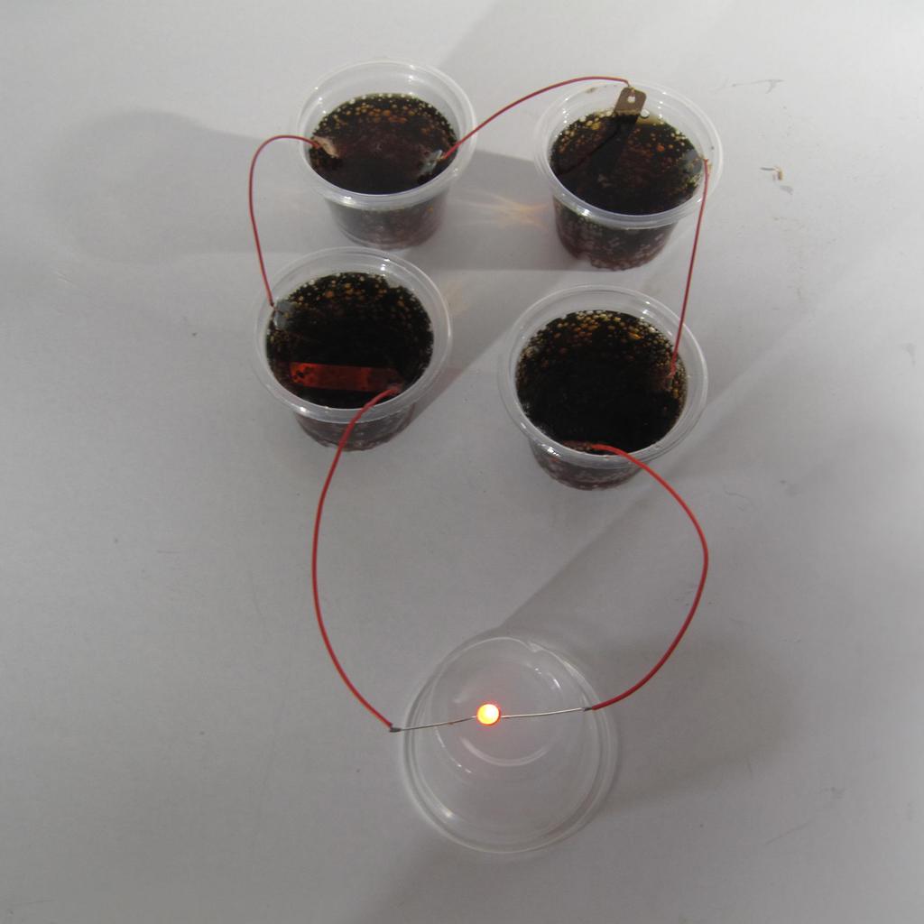 Fruit, Potato, and Cola Power Generation Science Kits: Innovative Experiments and Inventions