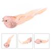 Artificial Bird Birds Measure Convenient Packaging