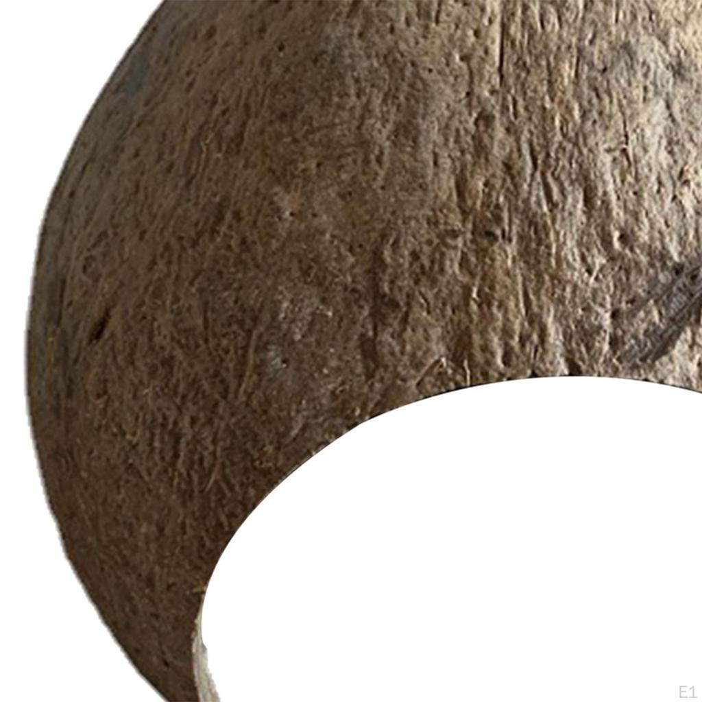Kokosnussschalen Hütte Unterschlupf Reptilien Verstecke Versteck Einsiedler Wachstumsnest Höhle Zucht Lebensraum Box für