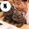 Simulation Bulldog Stuffed Animals Plush Toy PP Cotton Life Like Dog Cuddle Toy For Home Car Decoration Travel Companion