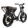TXED Motorcycles for Adult 20inch with 250W Motor and 48V15.6AH Battery