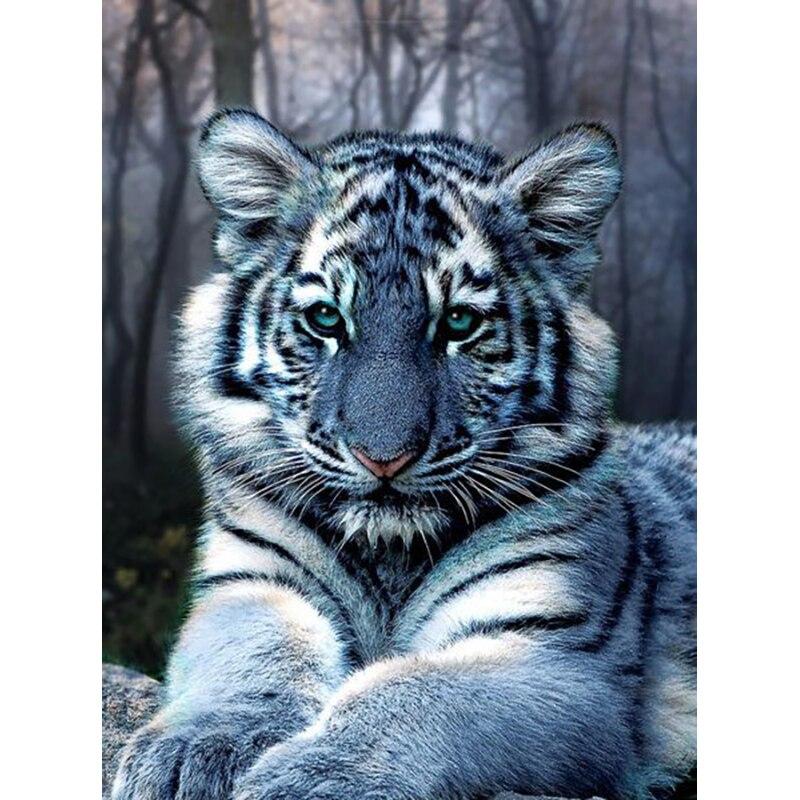 Neues 5D DIY Diamantmalerei Pferd Tiger Diamantstickerei Tier Kreuzstich Vollrunde Bohrer Heimdekor Handwerk Kunst Geschenk