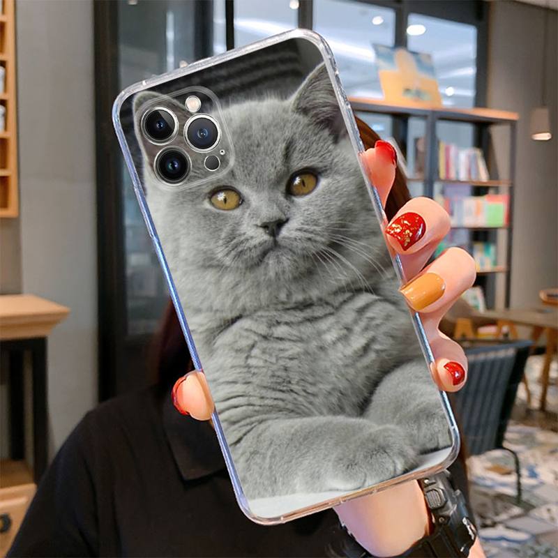 Britská krátkosrstá kočka Pouzdro na telefon pro iPhone 14 13 12 11 Pro Max XS X XR SE 2020 6 7 8 Plus Mini průhledné pouzdro