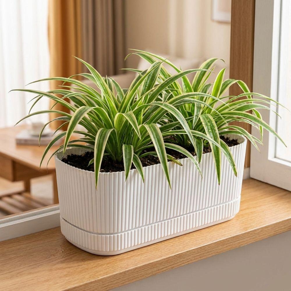 Double Layer Self Watering Flower Pot with Drainage Hole Plastic Lazy Plant Pot Desktop Vase Large Capacity