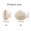 Pack of 100 Natural Seashells Charm Sea Shell Accessories for Handmade Bracelets and Necklaces Jewelry Components