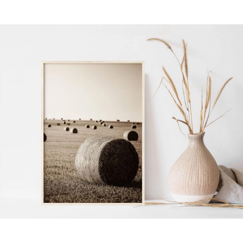 

Southwest Rustic Western Farmhouse Photo Highland Cow Posters and Prints Печать на холсте Wall Art Picture for Living Room Decor 21cm×30cm NoFrame