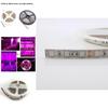 Premium Quality Led Grow Lights Waterproof Growing Led Strip For Seedlings And Greenhouse