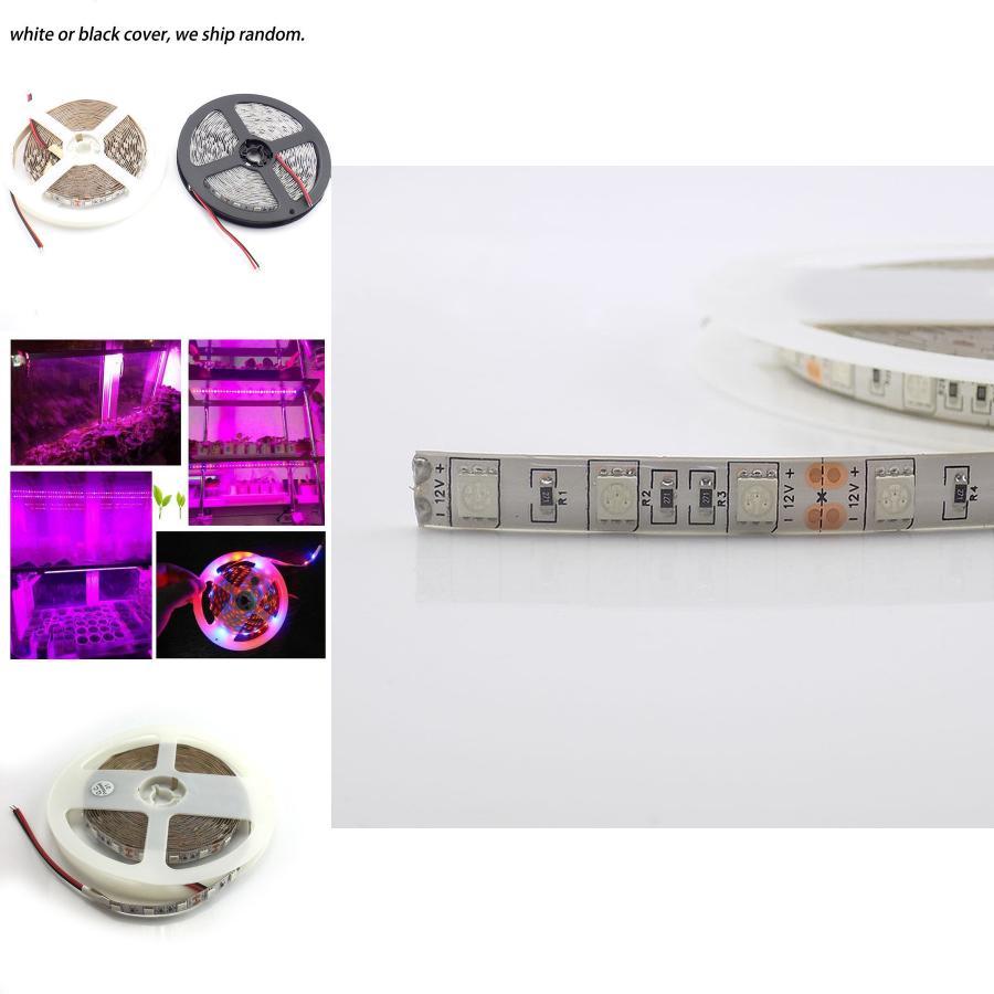 Premium Quality Led Grow Lights Waterproof Growing Led Strip For Seedlings And Greenhouse