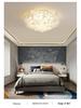 2025 Modern Minimalist Petal Ceiling Light - Full Spectrum, Warm & Romantic for Master Bedroom