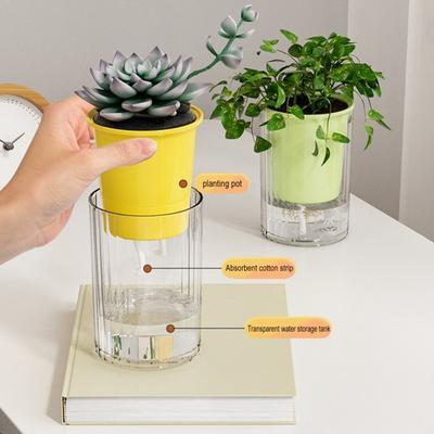 Self Watering Hole Hydroponic Plants Pot Indoor Outdoor Pot with Drainage Deep Visible Reservoir Flower Planter