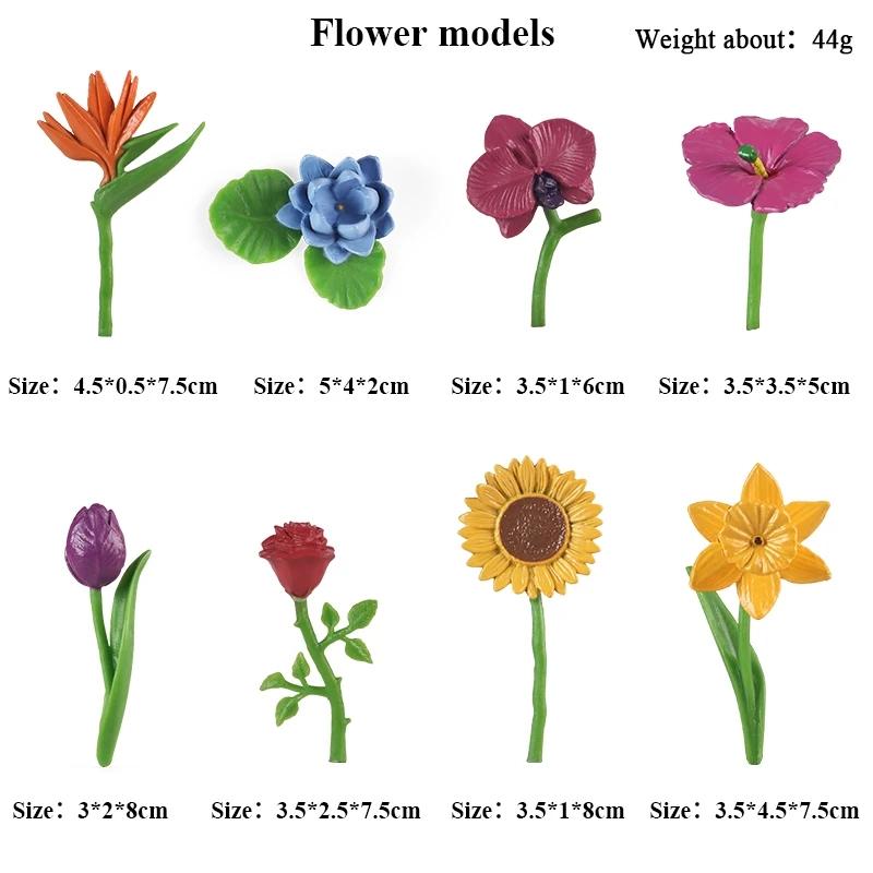 Oenux Mini Wild Wild Forest Animals Insect Dinosaur Model Owl Fox Squirrel Hedgehog Fox Frog Figurines Cake Toppers Kid Toy Gift