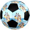 Bluey Theme Size 5 Soccer Ball, Suitable for Both Indoor and Outdoor Matches, a Gift Suitable for Everyone.