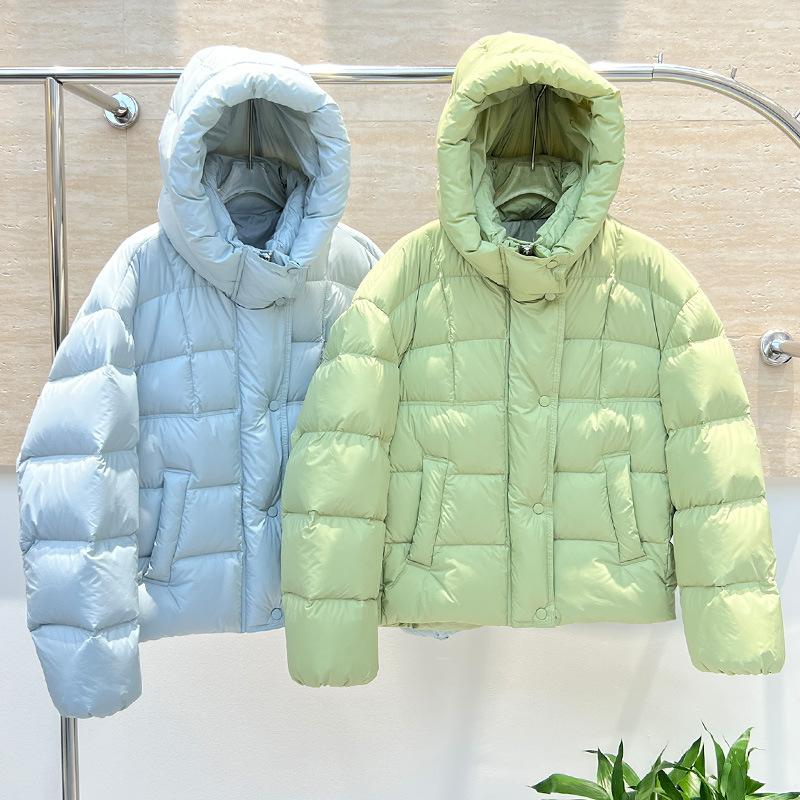 Winter New Puff Down Jacket Women's Short Thickened Hooded Small Bread Jacket Warm Jacket