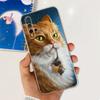 For Huawei Honor 20 Case YAL-L21 YAL-AL00 Luxury Painted Cover Soft Silicone Phone Case For Huawei Nova 5T Nova5T Honor20 Bumper