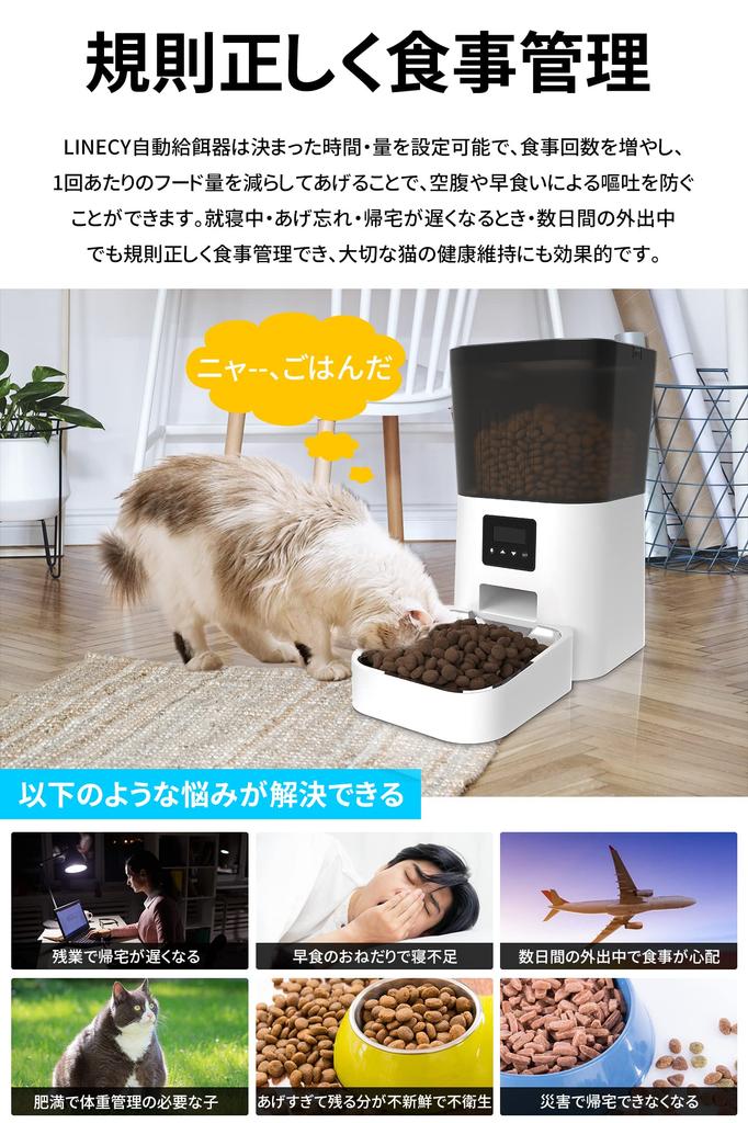 LINECY Automatic Feeder for Cats and Small To Medium 4L Large Set Meals At Fixed Automatic Power Timer Transparent Easy To Check Remaining Food