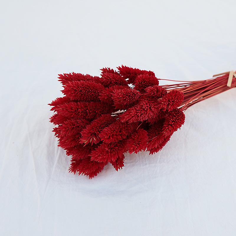 Natural Dried Statice Flower Bouquet - Everlasting Decoration for Vase & DIY Arrangements