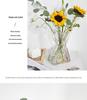 European Style Transparent Glass Vase for Creative Flower Arrangements - High-End Décor for Living Room or Desktop.