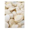 Nordic Posters Reed Dandelion Dolphin Sea Beach Flower Wall Art Canvas Painting And Prints Wall Pictures For Living Room Decor