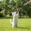 Interactive Coloured Ribbon Cat Toys Teasing Catd Stick Satin Ribbon Cat Stick Toys Kitten Playing Teaser Wand Toy Pet Supplies
